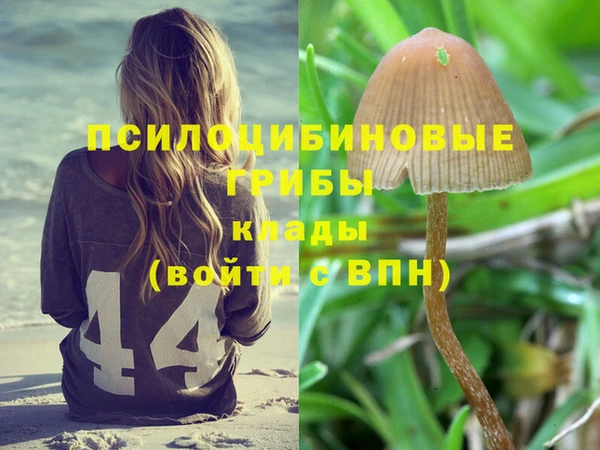 каннабис Волоколамск