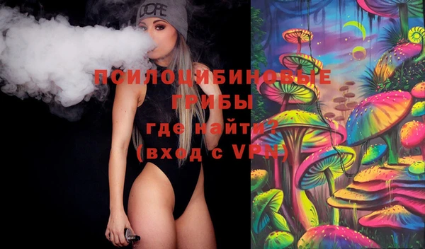 дурь Верея