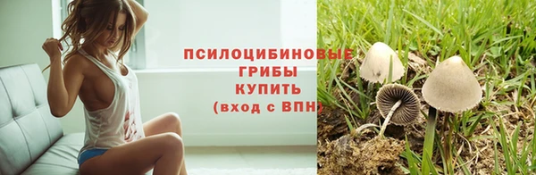ПСИЛОЦИБИНОВЫЕ ГРИБЫ Богородицк