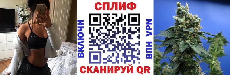 Бошки Шишки план  Завитинск 